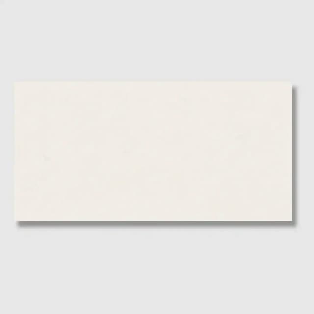 Snow Plain 60x120