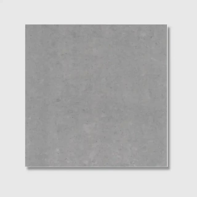 Elegance Light Grey Matt 60x60