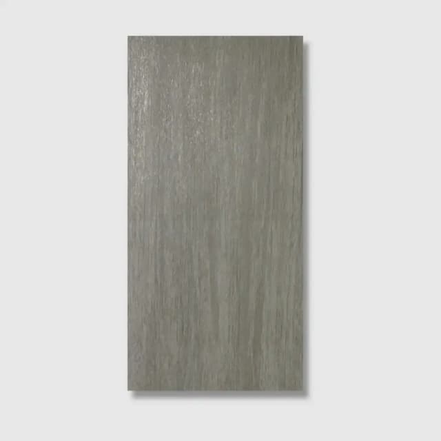 Parma Silver 30x60