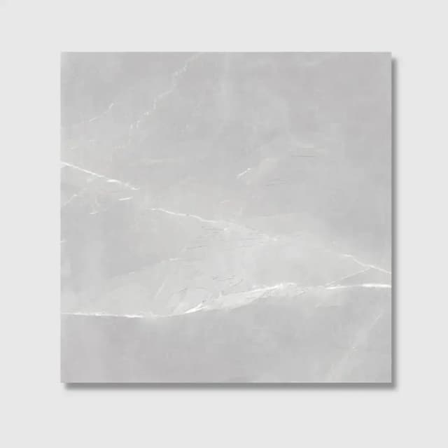 Colosseum Grey Ret 60x60