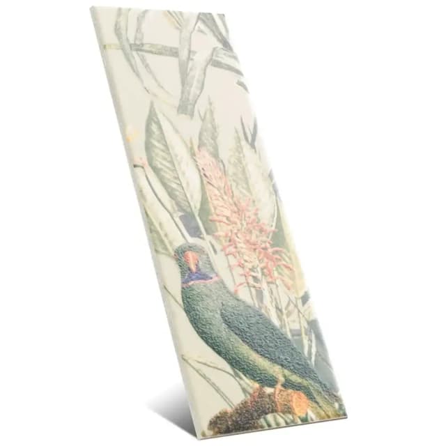 Birds of Paradise 10x30