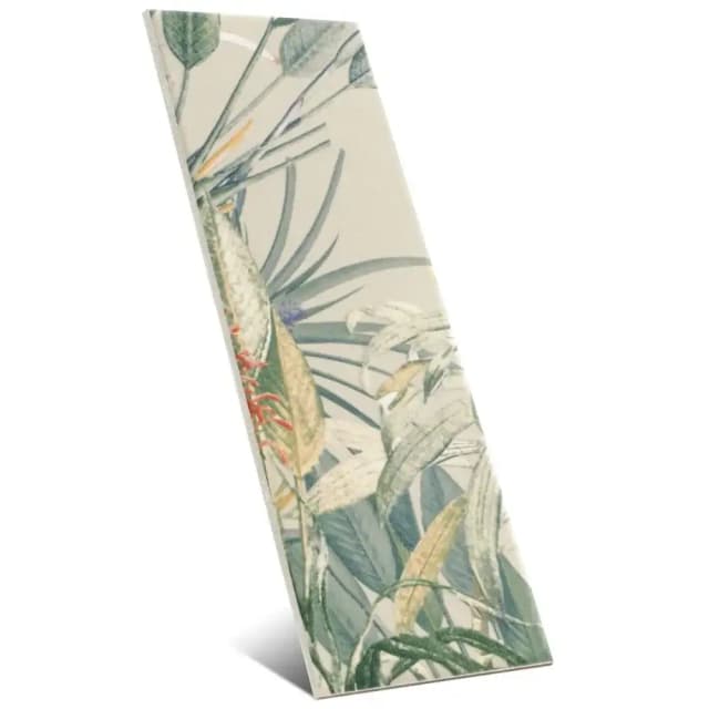 Birds of Paradise 10x30