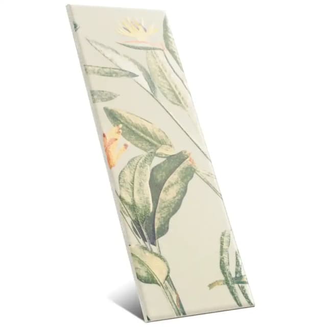 Birds of Paradise 10x30