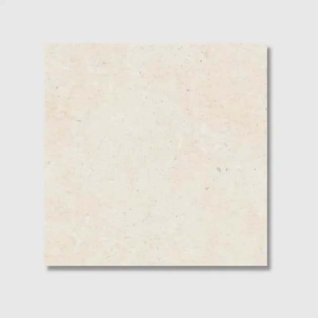 Buxton Ivory