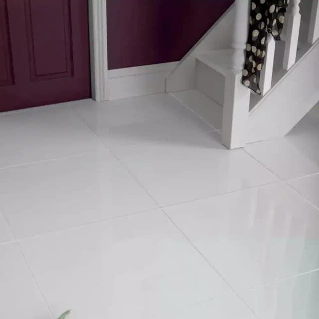 Porcelain White Polished