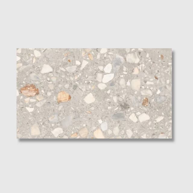 Shell Stone Grey Lap 60x120