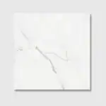 1Monarch 60x60 Polished tile