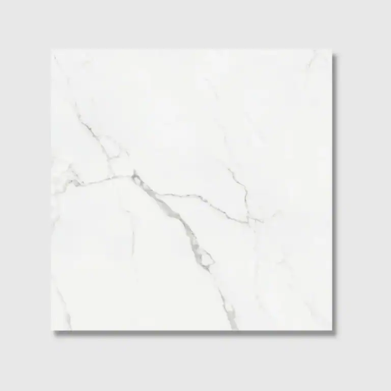 1Monarch 60x60 Polished tile