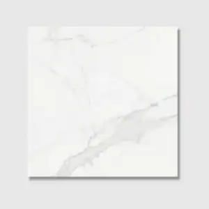 Monarch Matt 60x60 tile