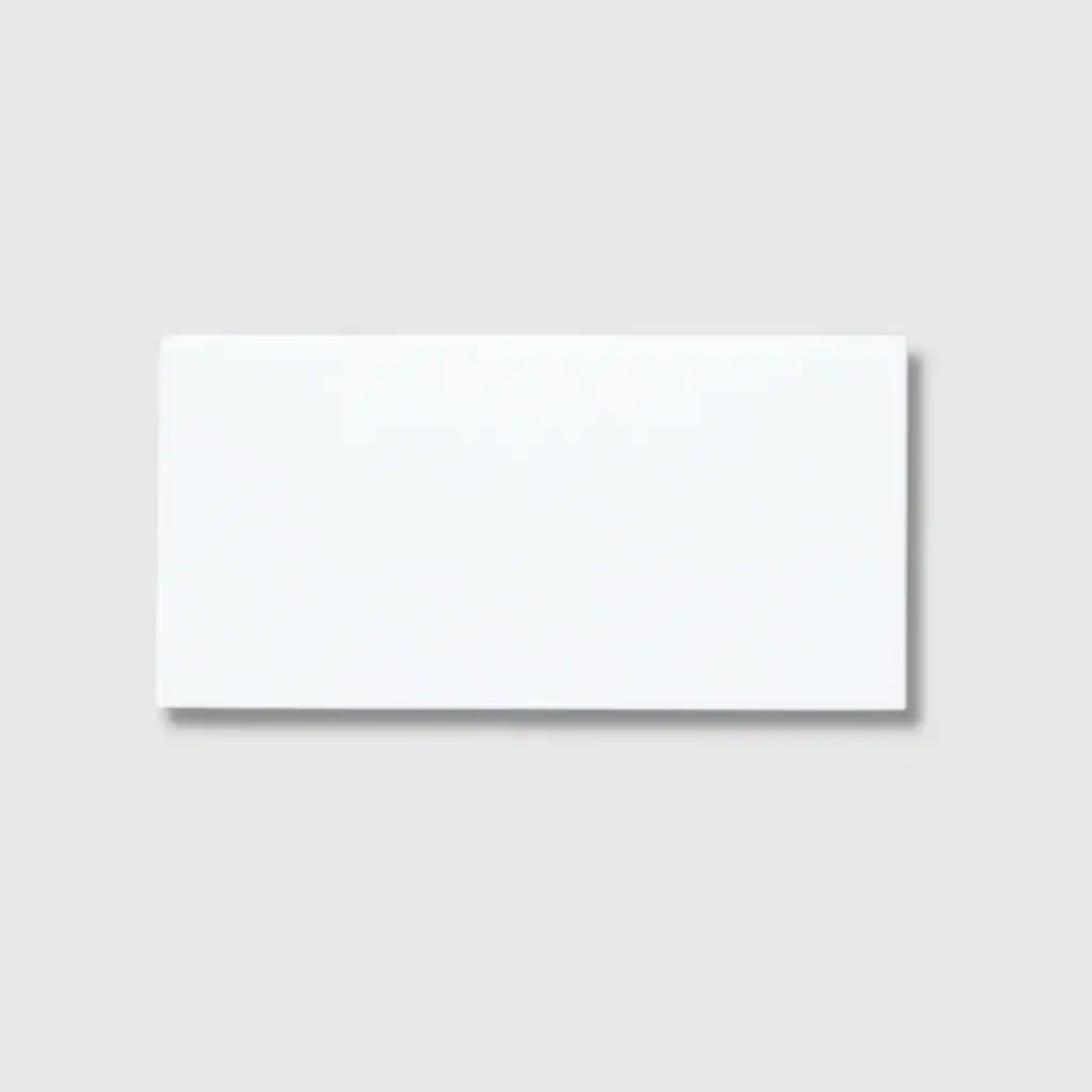 5 Monocolour Blanco Silk 10x20 tile