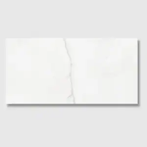 Monarch 30x60 Matt tile