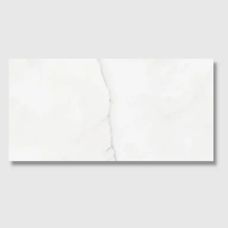 Monarch 30x60 Matt tile