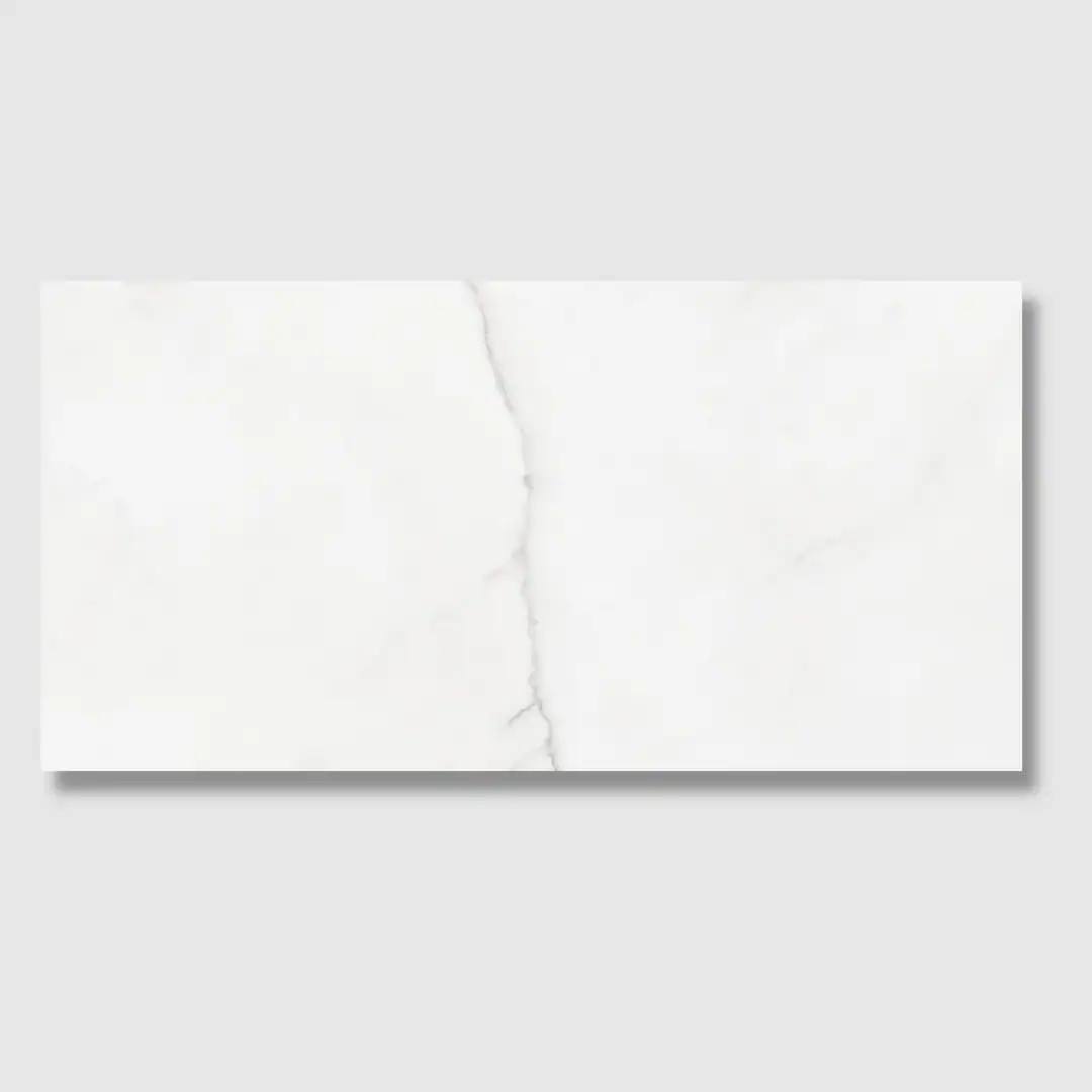 Monarch 30x60 Matt tile