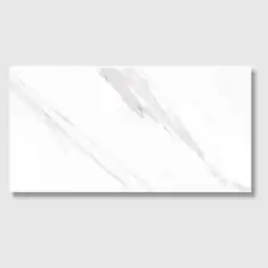 Monarch Gloss 30x60