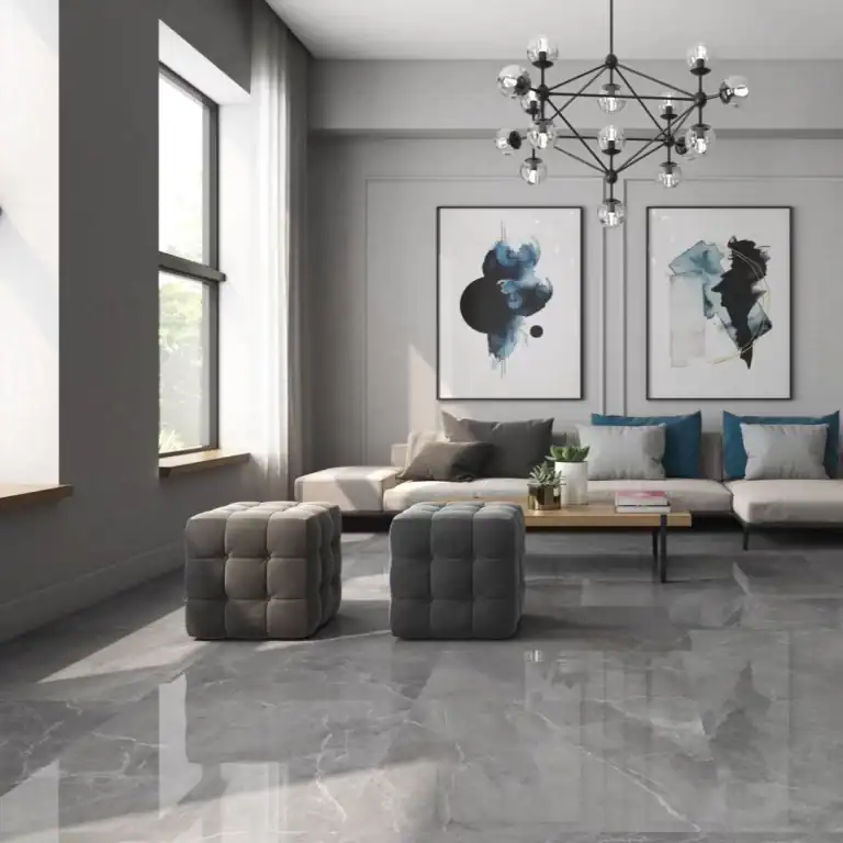 Athena Gris room 60x60