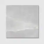 Colosseum Grey