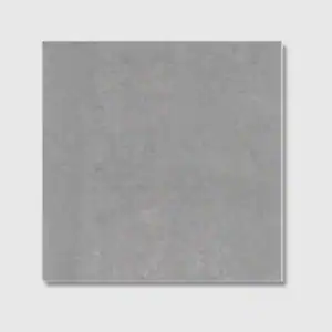 Contemporary Light Grey Polished Tile