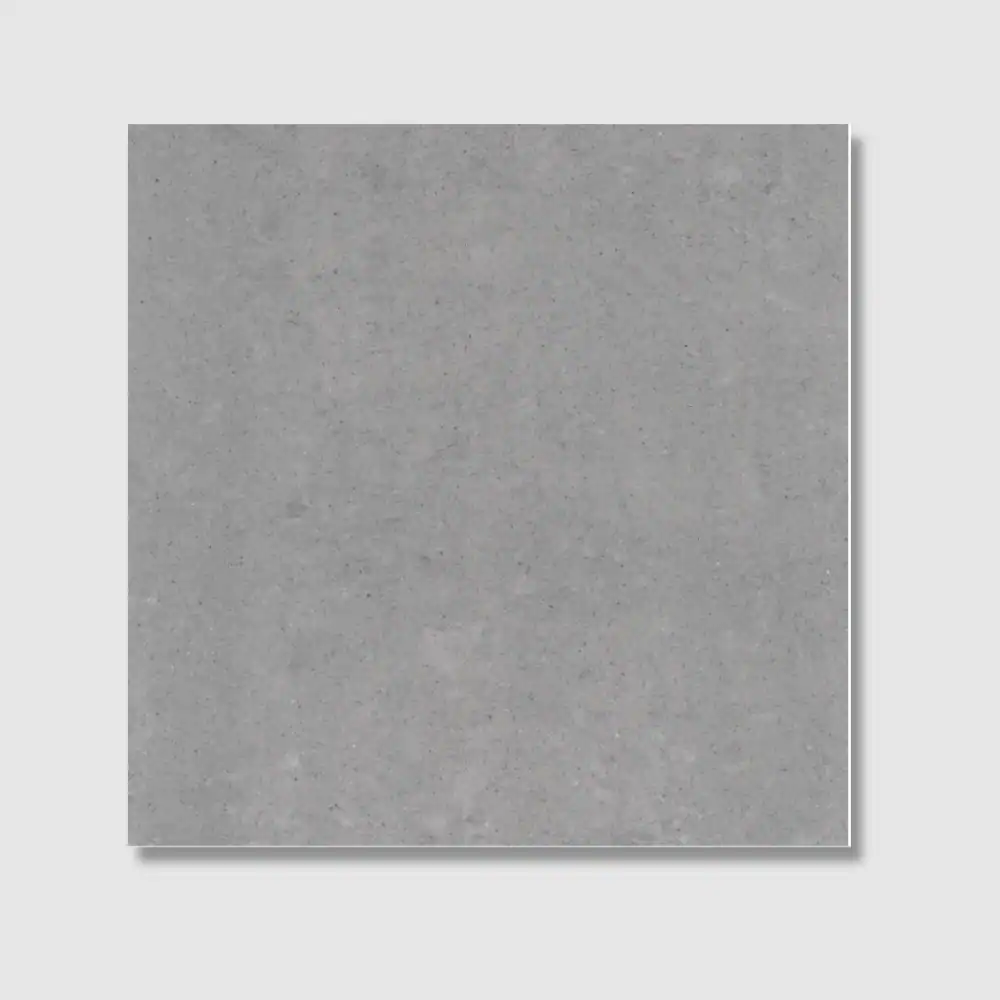 Contemporary Light Grey Polished Tile