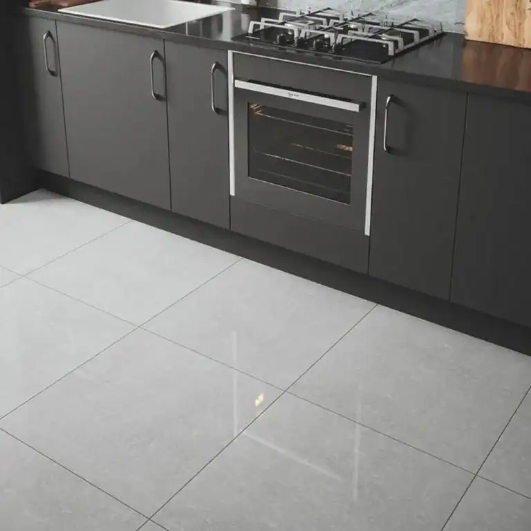 Contemporary Light Grey Polished Tile