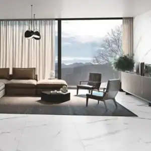 60x120 statuario matt slab