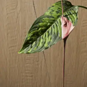 oak wood effect tile