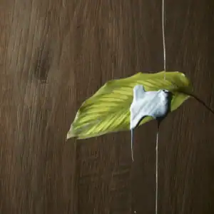 Dark Wood Effect Porcelain Tile