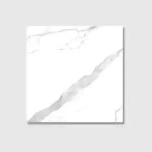 60x60 statuario matt tile