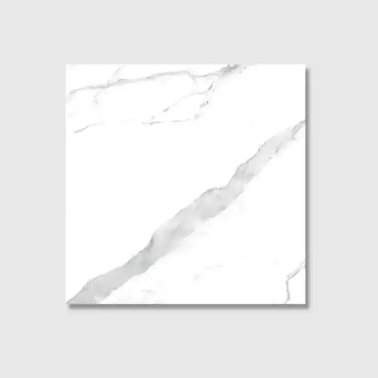 60x60 statuario matt tile