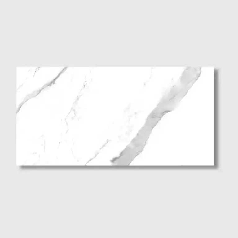 60x120 statuario polished slab