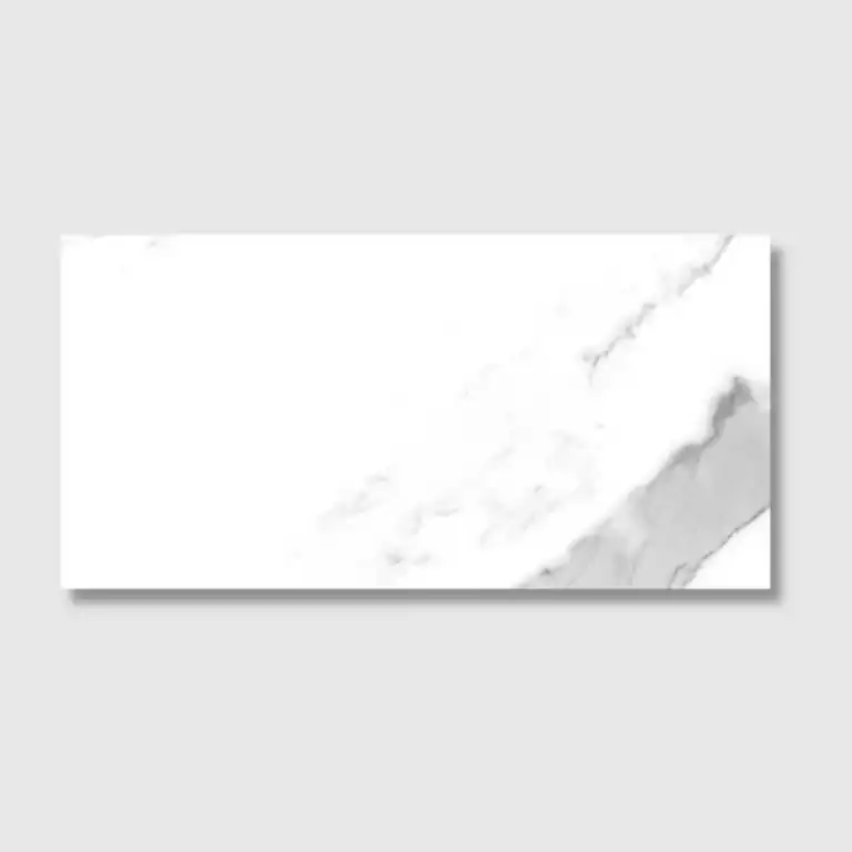 60x120 statuario matt slab