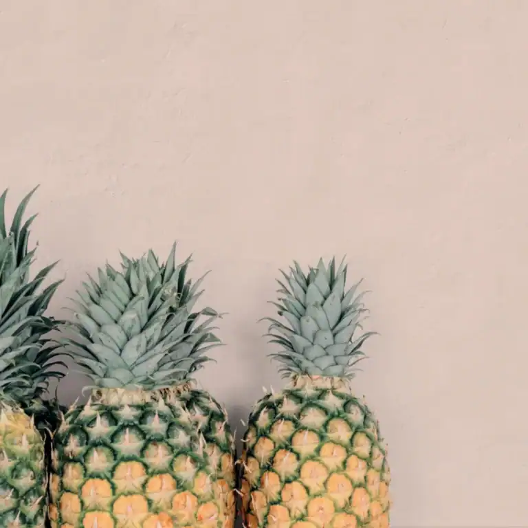 Plain Powder light pink porcelain tile setting