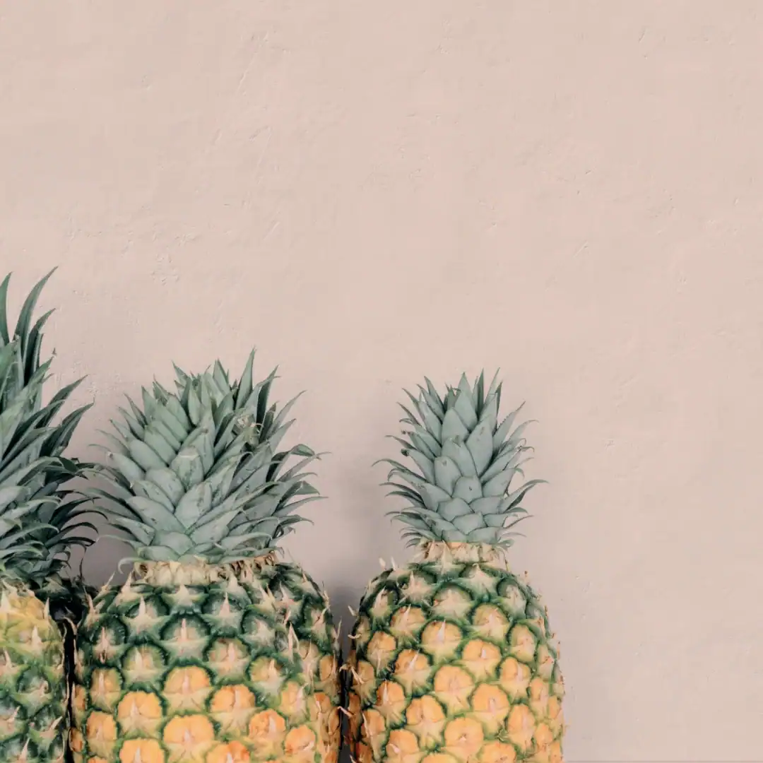 Plain Powder porcelain tile