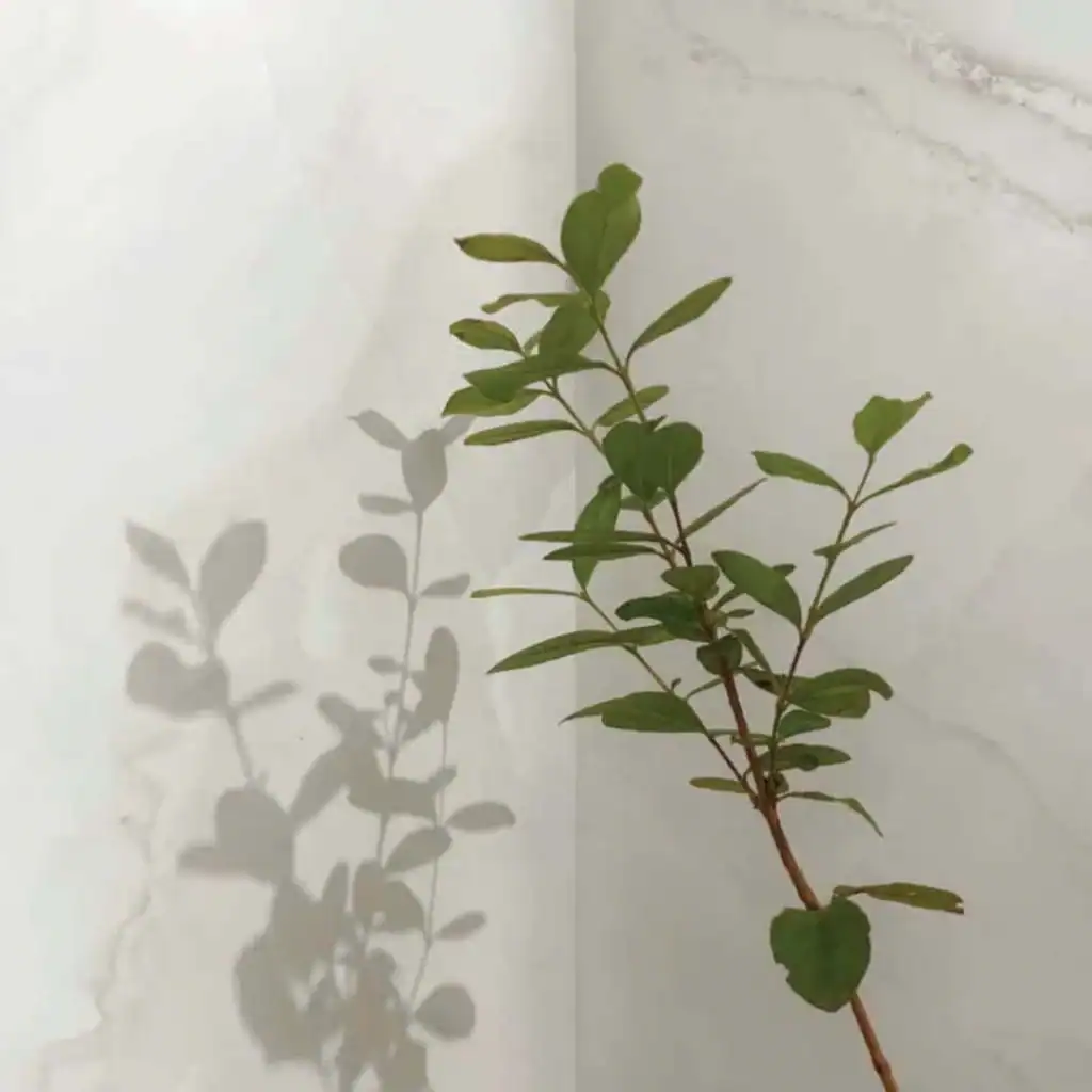 Cream Marble Effect Gloss Tile