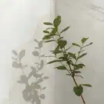 Cream Marble Effect Gloss Tile