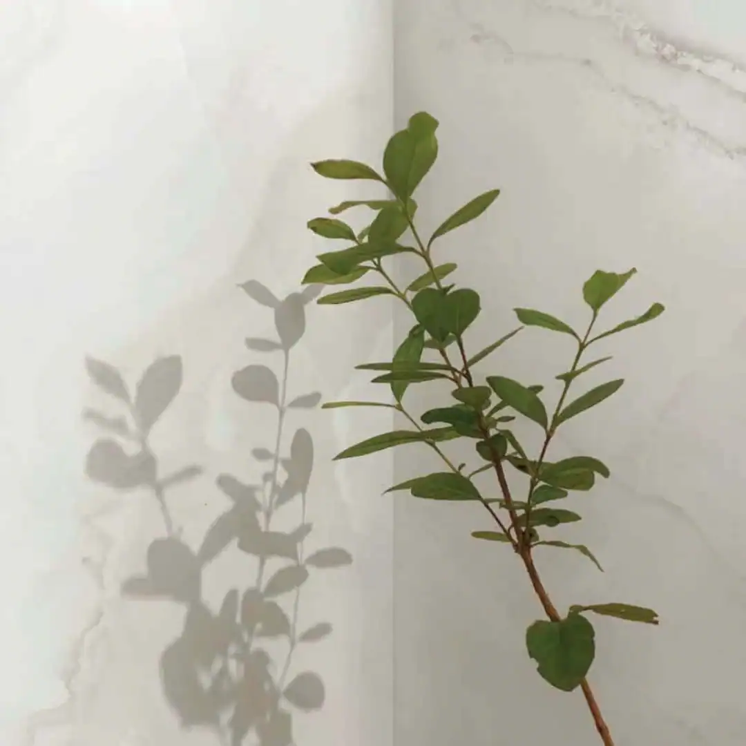 Cream Marble Effect Gloss Tile